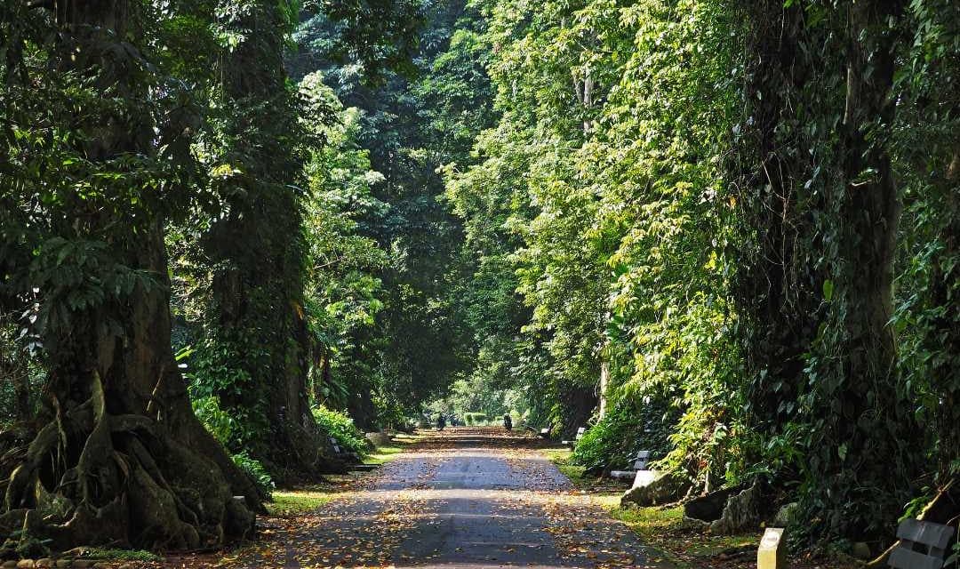 Sentul dan Kebun Raya Bogor